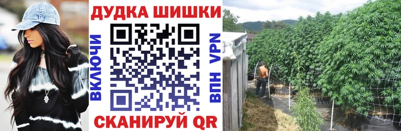 хочу   blacksprut зеркало  МАРИХУАНА ГИДРОПОН  Нефтекумск 